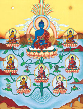 8-medicine-buddhas-by-carmen-mensink