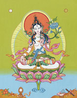 shop-white-tara-print