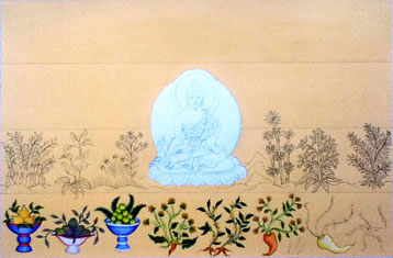 tibetan-medicine-healing-herbs-carmen-mensink