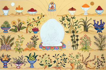 tibetan-medicine-plants-by-carmen-mensink