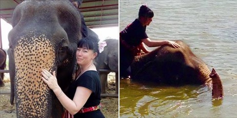 elephant-camp-thailand