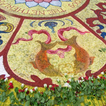 pair-of-golden-fishes-sign