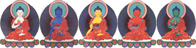 5-dhyani-buddhas