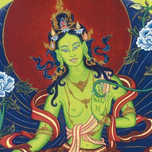 Feb 23-26 / VELUWE, NEDERLAND / Groene Tara – Actieve Compassie