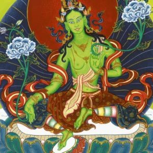 Feb 19-22 / VELUWE, NEDERLAND / Groene Tara – Actieve Compassie